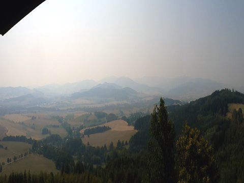Foto 24